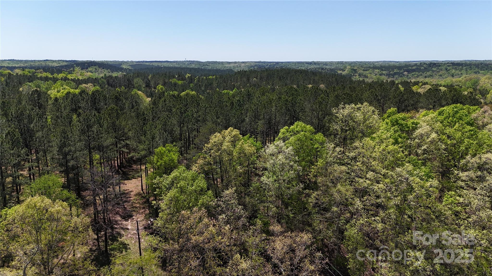 898 State Rd S-11-72 Gaffney, SC 29340 - Photo 16 of 40 Gallery Image 16
