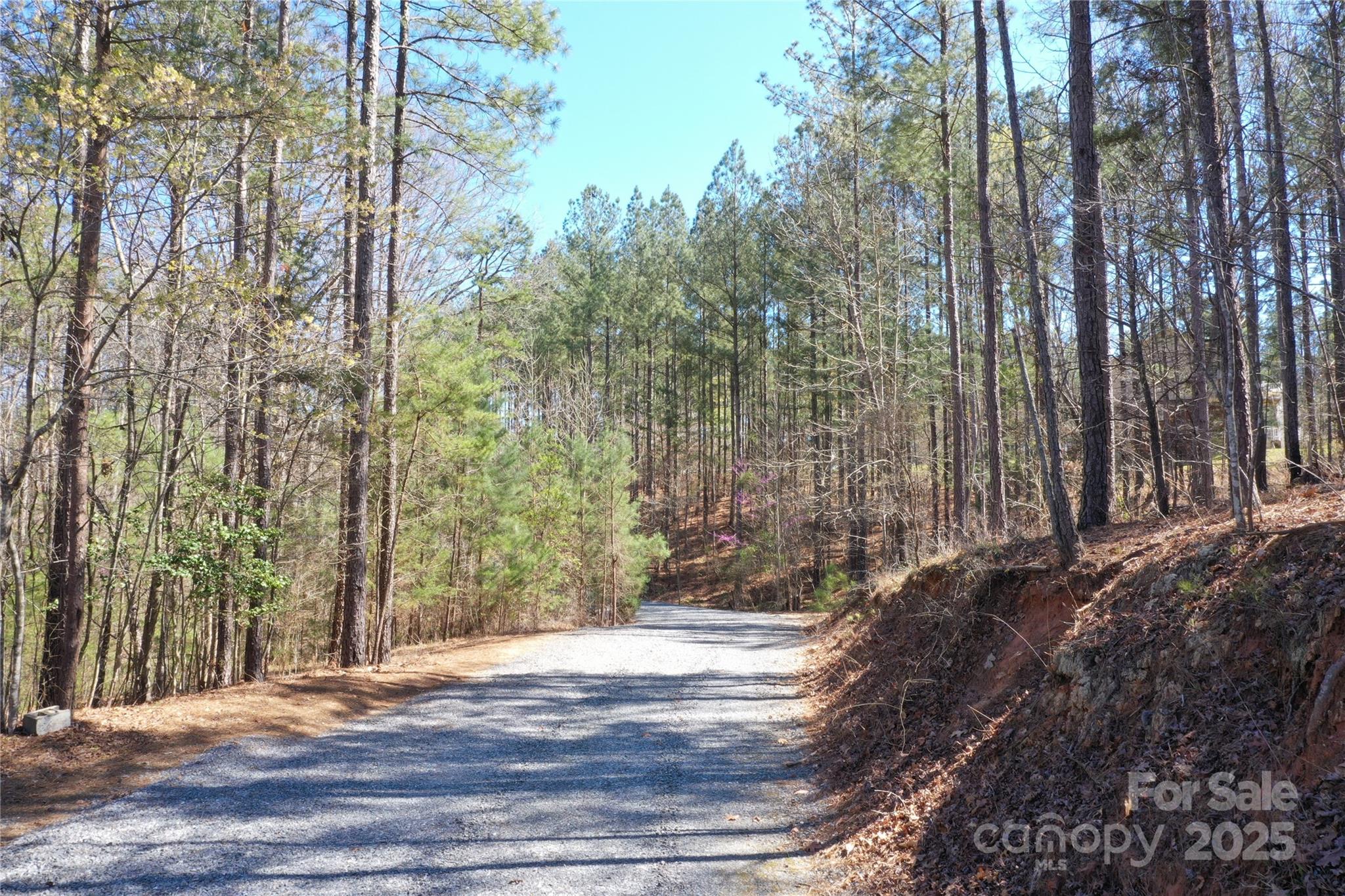 898 State Rd S-11-72 Gaffney, SC 29340 - Photo 24 of 40 Gallery Image 24
