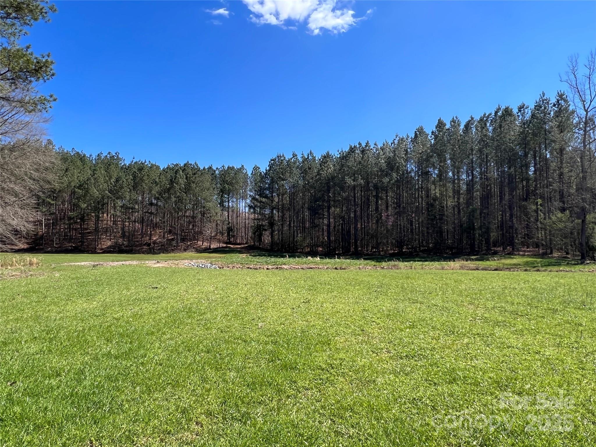 898 State Rd S-11-72 Gaffney, SC 29340 - Photo 4 of 40 Gallery Image 4