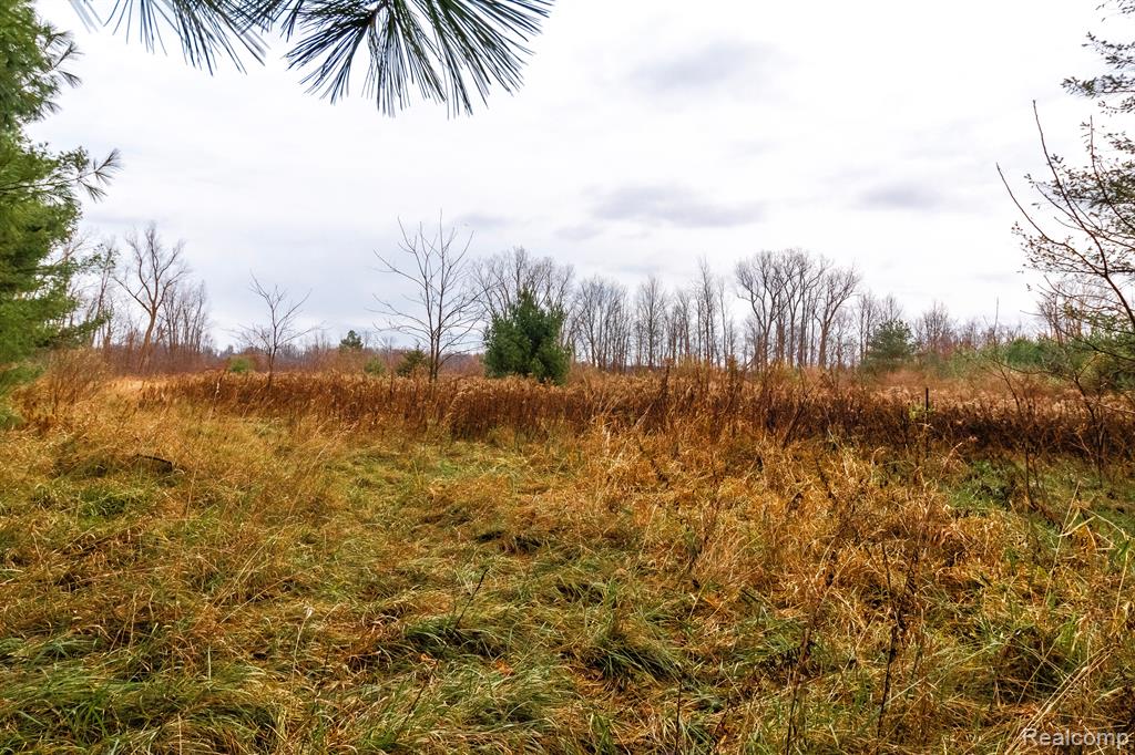 6152 Old State Road North Branch, MI 48461 - Photo 14 of 32 Gallery Image 14
