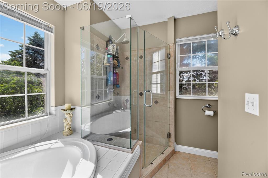 5900 Carter Court Howell, MI 48843 - Photo 29 of 72
