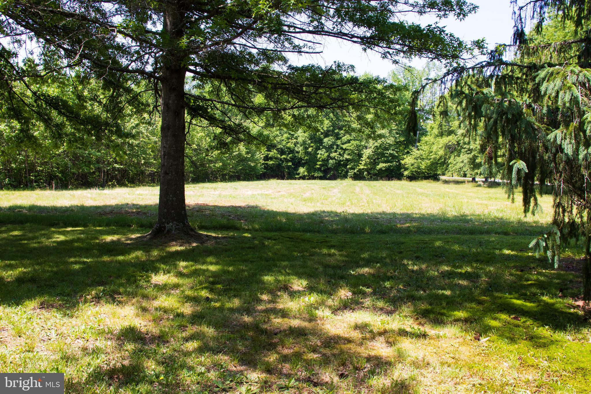 12212 Orange Plank Road Locust Grove, VA 22508 - Photo 9 of 76 Expansive field leading to woods, back and side