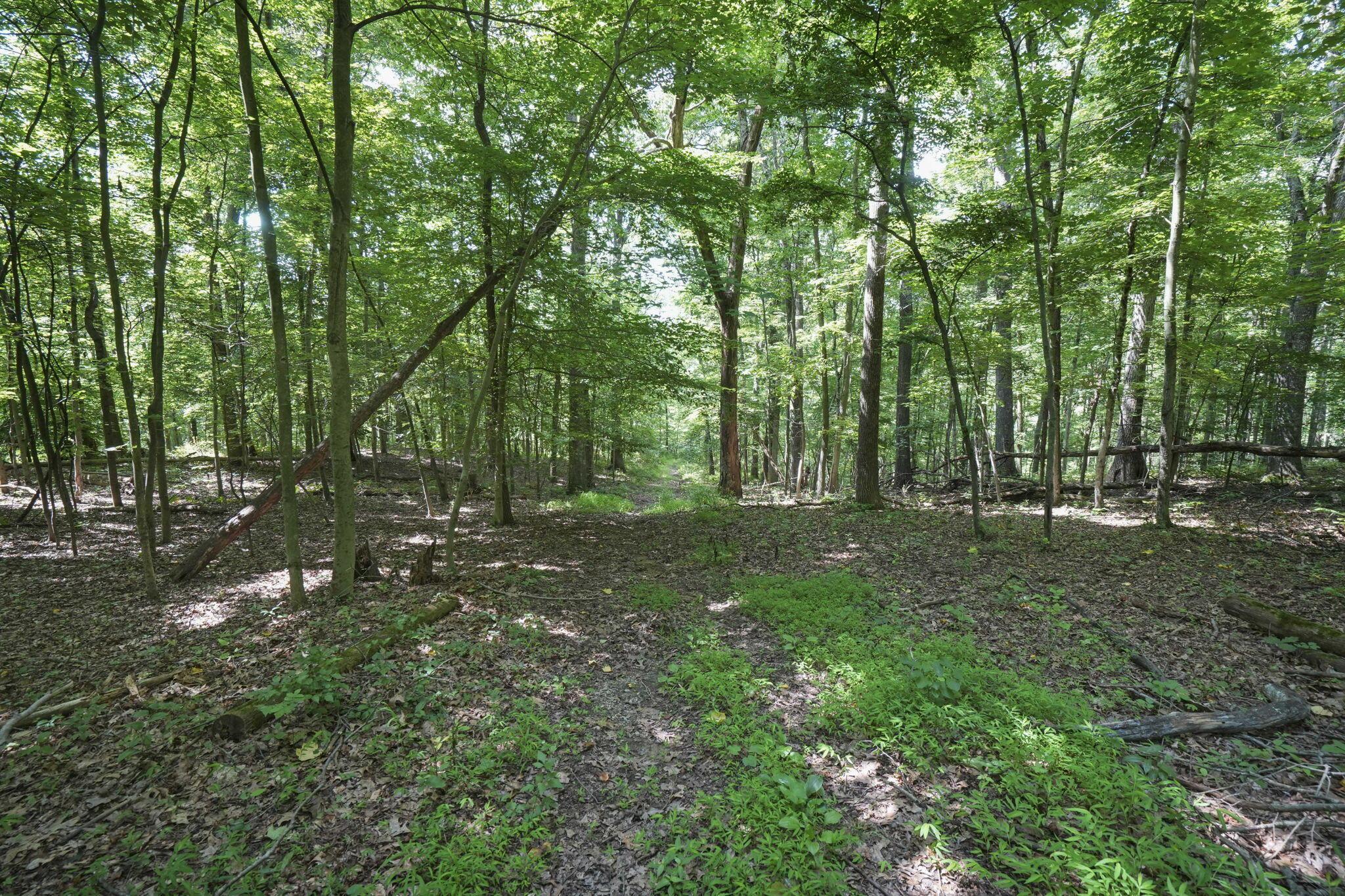 21079 Sterling Road Logan, OH 43138 - Photo 10 of 16 15-web-or-mls-DSC01678