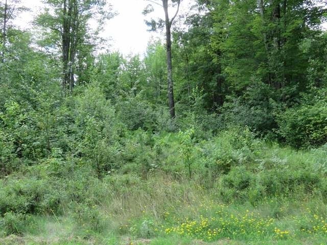 2.4-acre Pfeifer Road Tomahawk, WI 54487 - Photo 9 of 14 Gallery Image 9