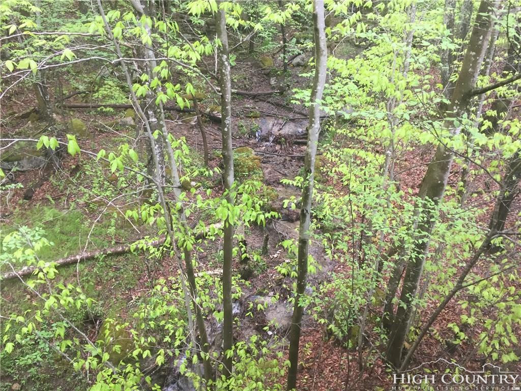 102 Shagbark Road Beech Mountain, NC 28604 - Photo 17 of 17 Gallery Image 17