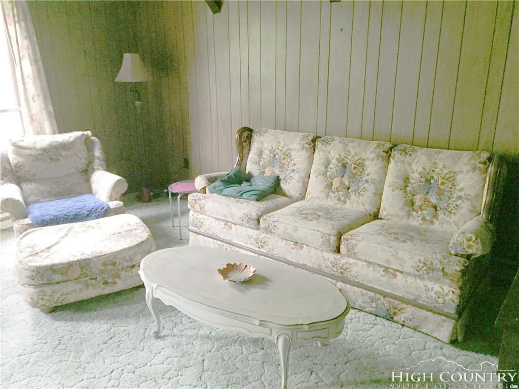 102 Shagbark Road Beech Mountain, NC 28604 - Photo 4 of 17 Gallery Image 4