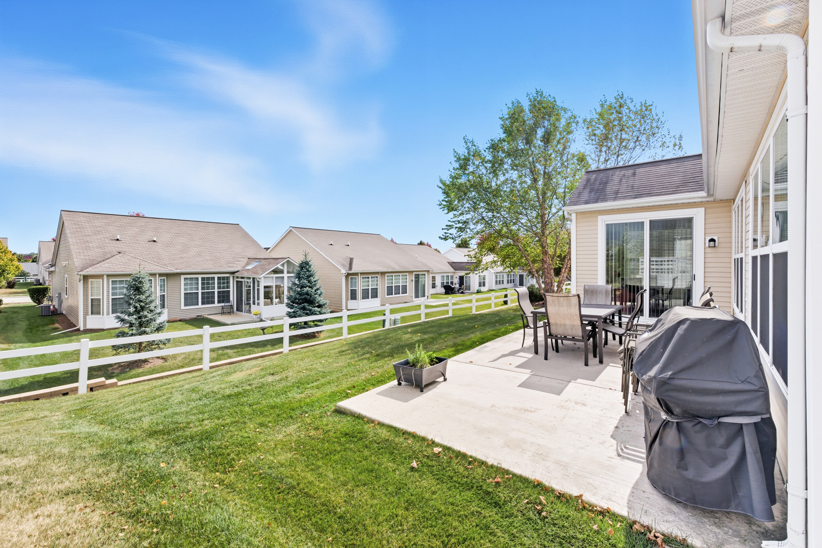 845 Butterfly Field Drive Elgin, IL 60124 - Photo 20 of 28