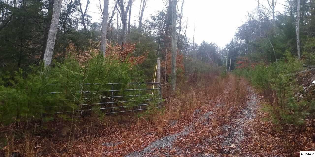 8 Sharp Road Sevierville, TN 37862 - Photo 6 of 7