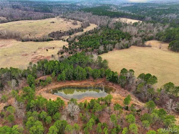 $1,250,000 | 15556 Slab Spring Drive, Licking, MO 65542