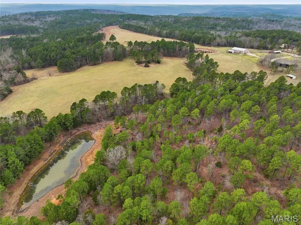 $1,250,000 | 15556 Slab Spring Drive, Licking, MO 65542