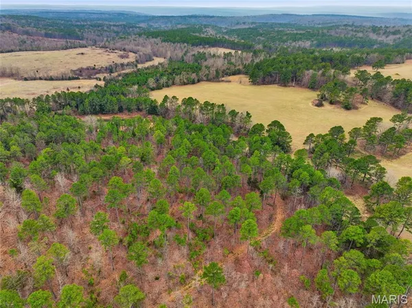 $1,250,000 | 15556 Slab Spring Drive, Licking, MO 65542