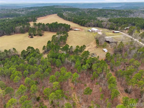 $1,250,000 | 15556 Slab Spring Drive, Licking, MO 65542