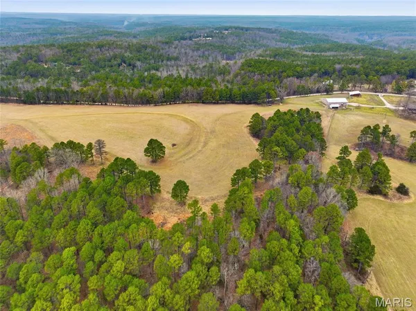 $1,250,000 | 15556 Slab Spring Drive, Licking, MO 65542