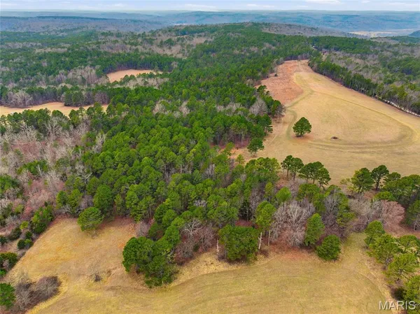 $1,250,000 | 15556 Slab Spring Drive, Licking, MO 65542