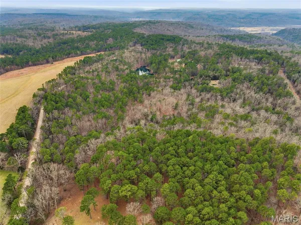 $1,250,000 | 15556 Slab Spring Drive, Licking, MO 65542