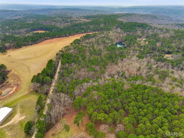 $1,250,000 | 15556 Slab Spring Drive, Licking, MO 65542