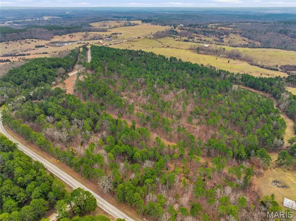 $1,250,000 | 15556 Slab Spring Drive, Licking, MO 65542