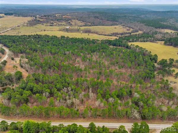 $1,250,000 | 15556 Slab Spring Drive, Licking, MO 65542