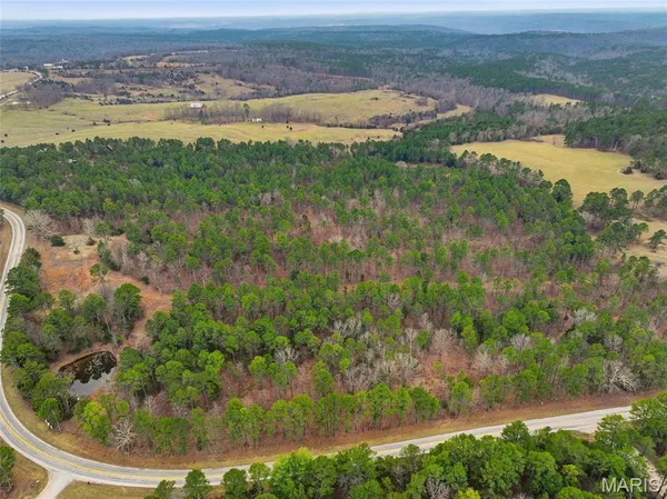 $1,250,000 | 15556 Slab Spring Drive, Licking, MO 65542