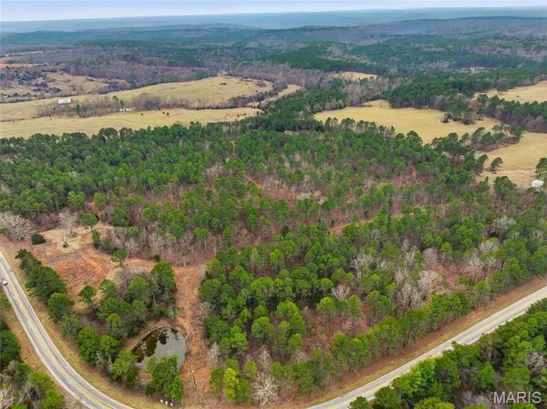 $1,250,000 | 15556 Slab Spring Drive, Licking, MO 65542