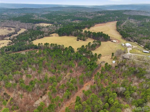 $1,250,000 | 15556 Slab Spring Drive, Licking, MO 65542