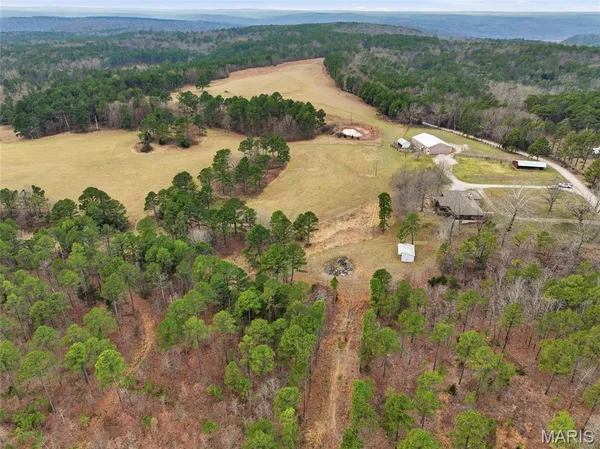 $1,250,000 | 15556 Slab Spring Drive, Licking, MO 65542