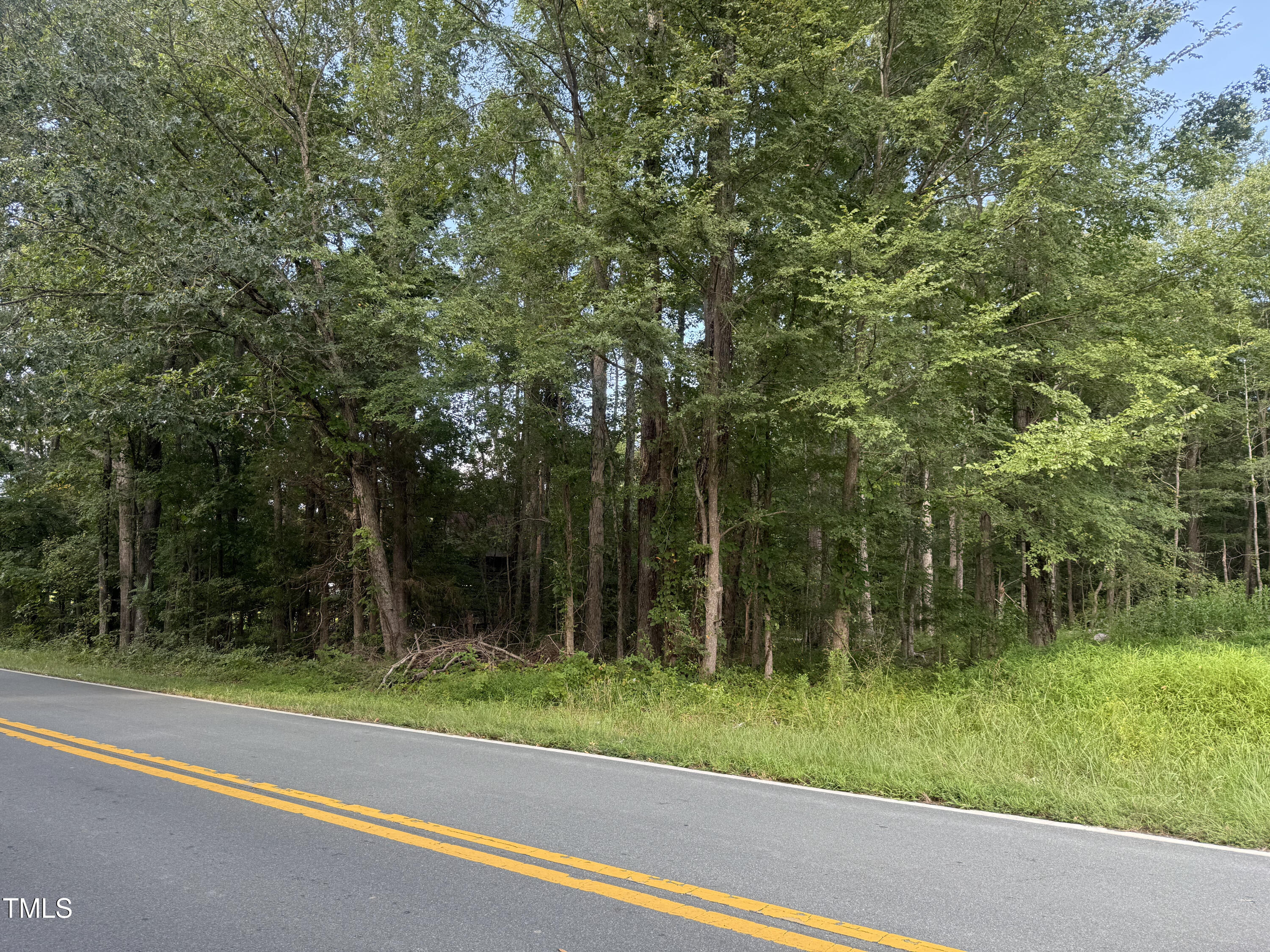 0 Pagetown Road Burlington, NC 27217 - Photo 2 of 5 a view of a yard with a trees