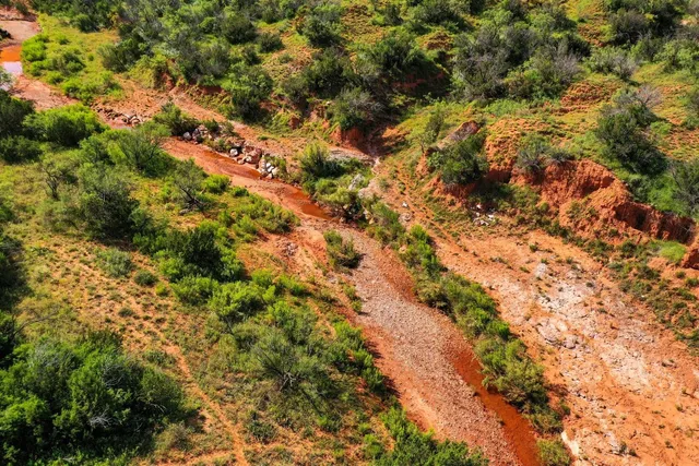 a view of outdoor space with trees