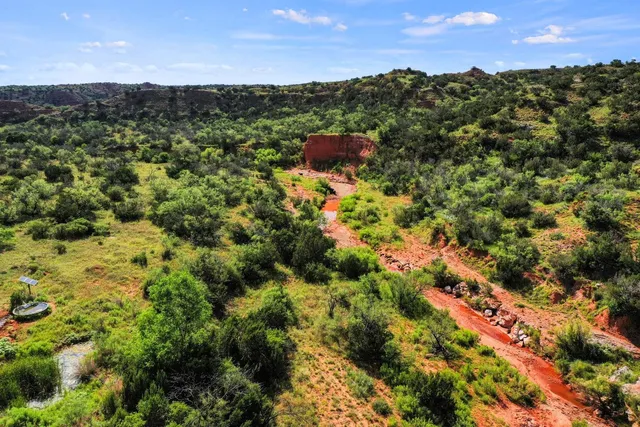 a view of a back yard