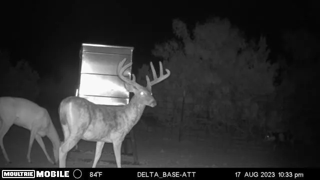 $4,978,350 | 1441 County Road 362, Spur, TX 79370