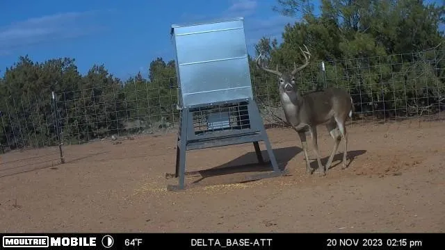 a view of outdoor space