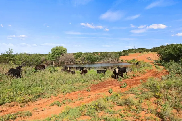 a view of a lake with houses