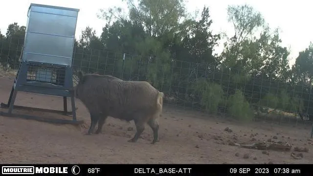 a view of a large building with mountains in the background