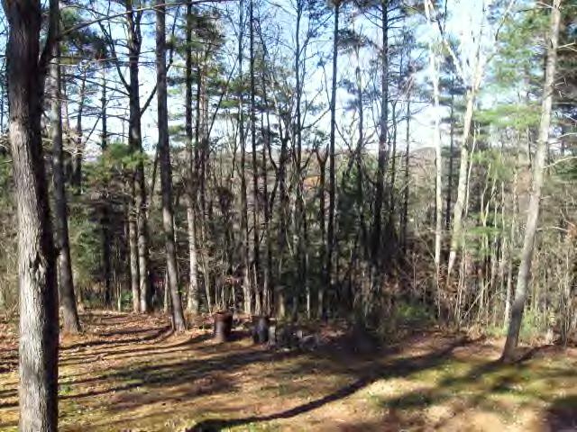 1239 Blue Ridge Yacht Club Road Bassett, VA 24055 - Photo 5 of 5 View