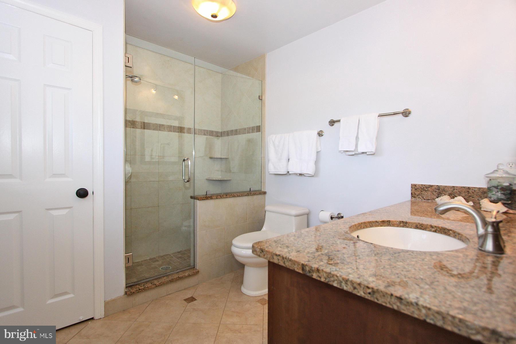 10805 Cross School Road Reston, VA 20191 - Photo 20 of 29 Bath (Master)