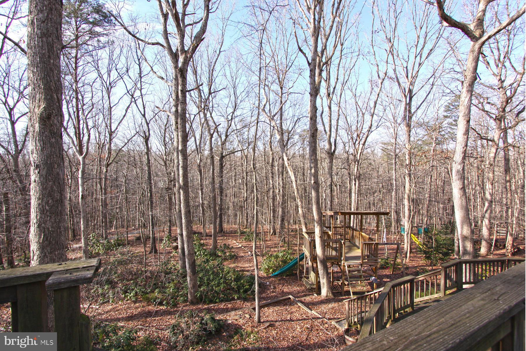 10805 Cross School Road Reston, VA 20191 - Photo 29 of 29 View of Woods and Tree House playset