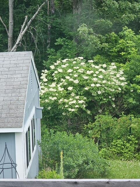 714 Mt Pisgah Road Winthrop, ME 04364 - Photo 75 of 94 h2