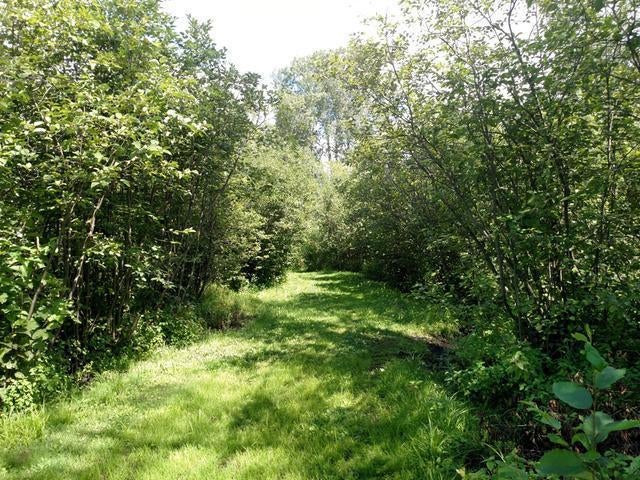 W4308 Goetzke Road Brantwood, WI 54513 - Photo 15 of 20 Gallery Image 15