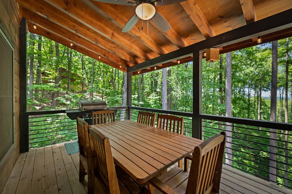 391 Little Bushy Head Road Blue Ridge, GA 30513 - Photo 63 of 72