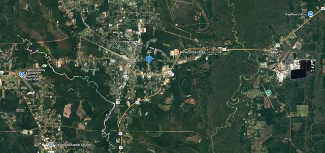 a view of a tree in a yard