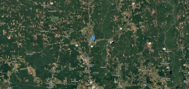 a view of a lush green forest