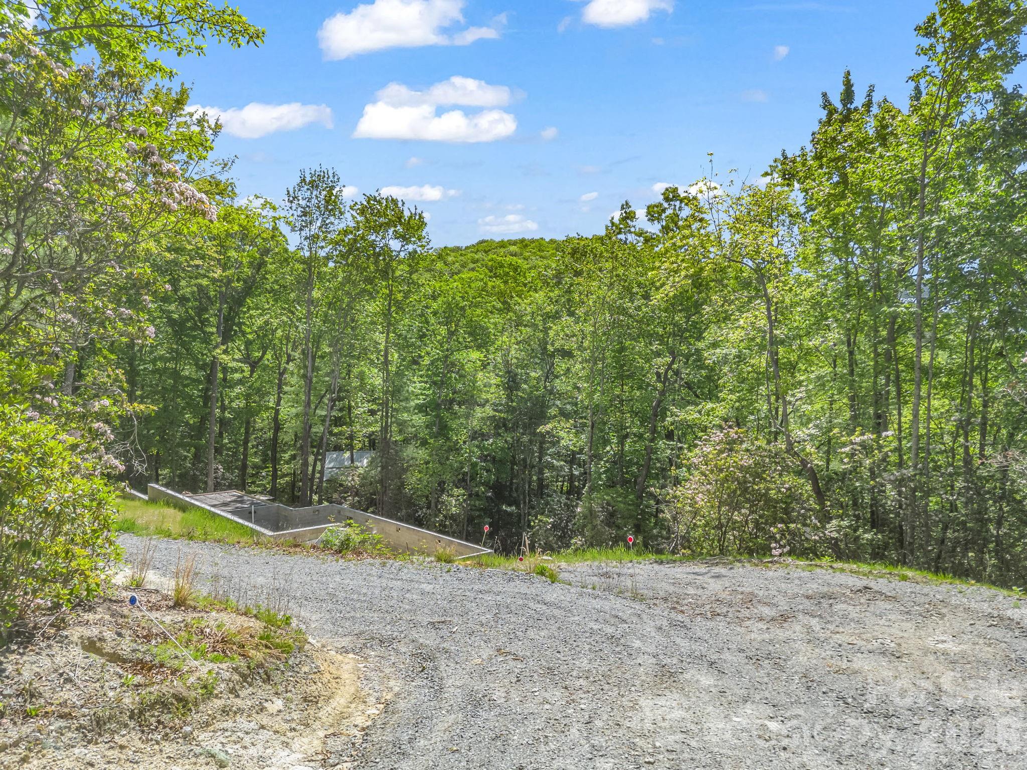 352 Big Hill Road Brevard, NC 28712 - Photo 3 of 31