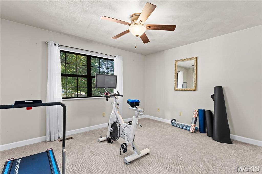 102 Pheasant Run O'Fallon, IL 62269 - Photo 40 of 55 Gallery Image 40