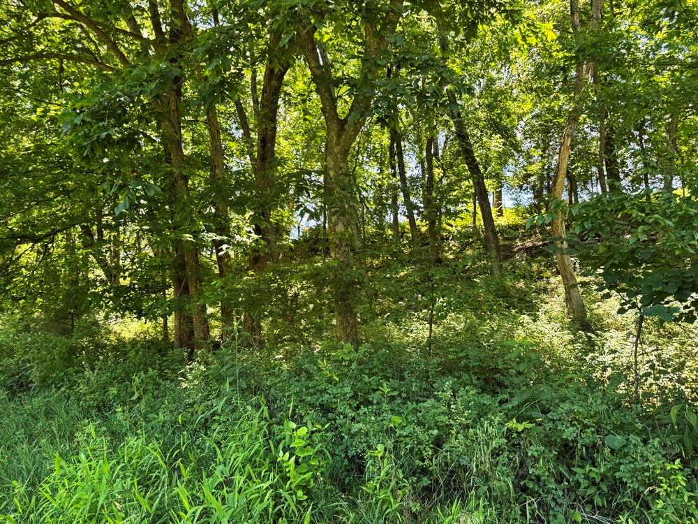 Tbd South 363 Road El Dorado Springs, MO 64744 - Photo 20 of 46