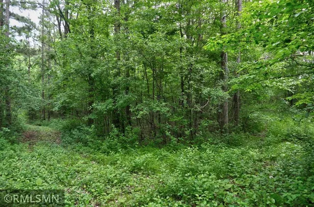 $50,000 | 655 115th Street, Amery, WI 54001