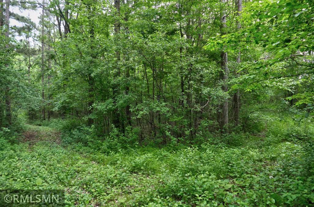 655 115th Street Amery, WI 54001 - Photo 2 of 9