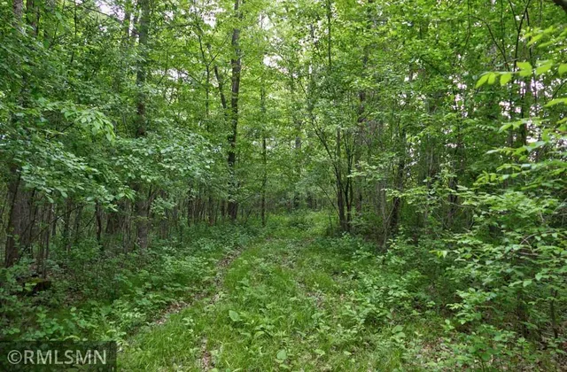 $50,000 | 655 115th Street, Amery, WI 54001