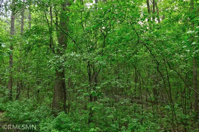 $50,000 | 655 115th Street, Amery, WI 54001