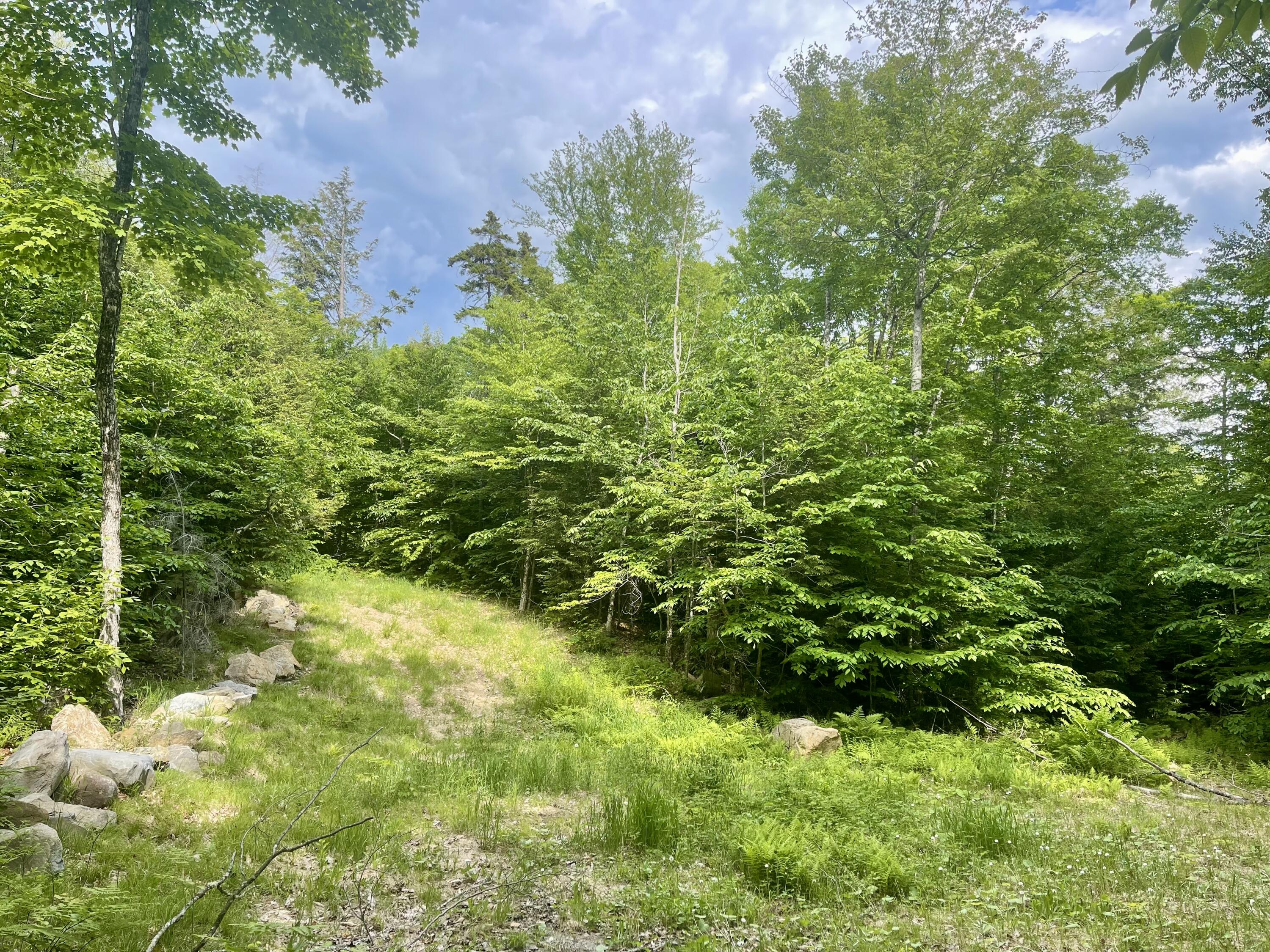 Lot 15-a-1 Scammon Road Greenville, ME 04441 - Photo 23 of 30 IMG_2139