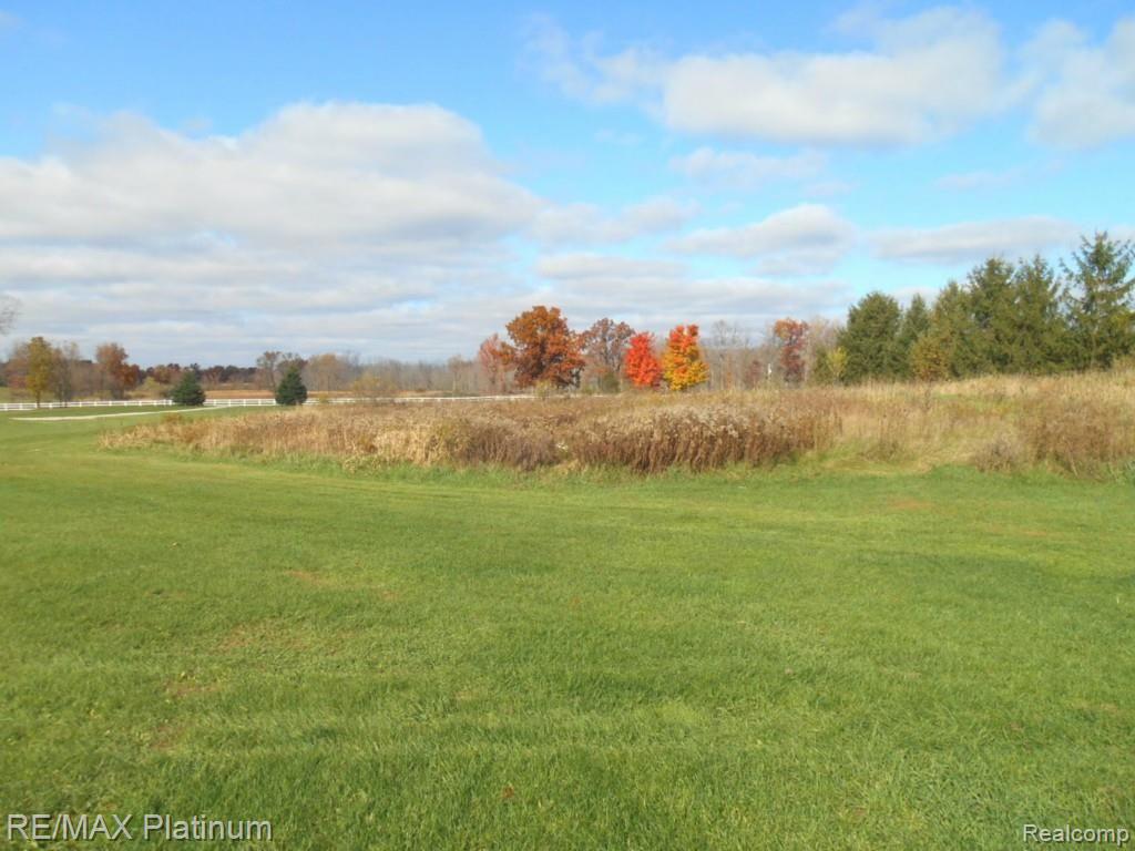 989 West Allen Road Howell, MI 48855 - Photo 44 of 44 Front Field